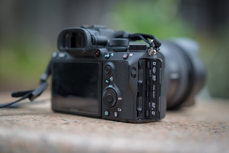 Illustration for article titled Sony A7R III Review: The New King of Mirrorless Cameras